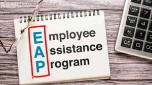 HR team launching an Employee Assistance Program in Mozambique