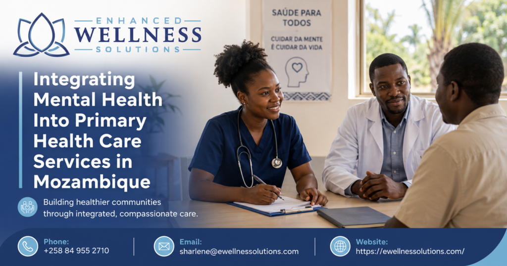 Primary Health Care Services in Mozambique