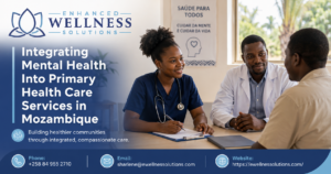 Primary Health Care Services in Mozambique